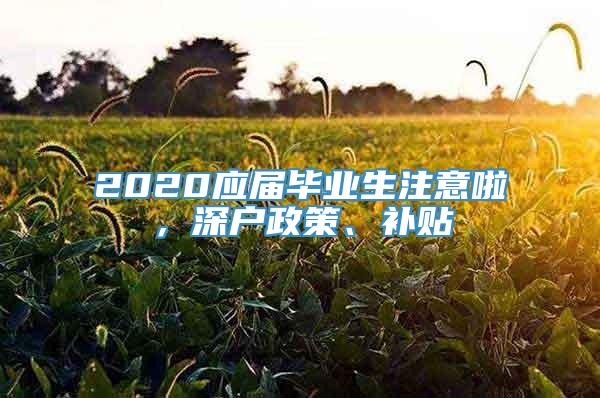 2020应届毕业生注意啦，深户政策、补贴