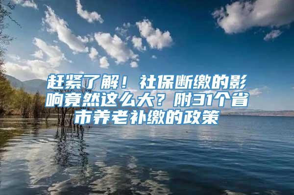 赶紧了解！社保断缴的影响竟然这么大？附31个省市养老补缴的政策