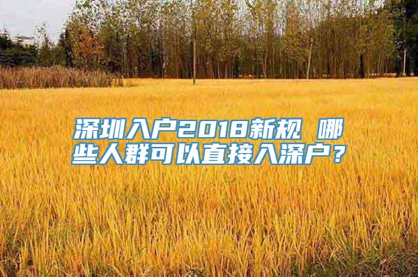 深圳入户2018新规 哪些人群可以直接入深户？