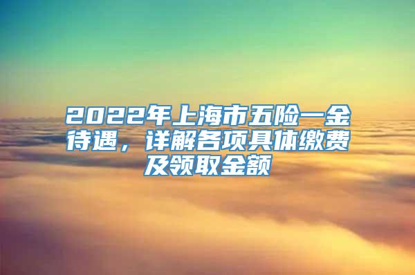 2022年上海市五险一金待遇，详解各项具体缴费及领取金额