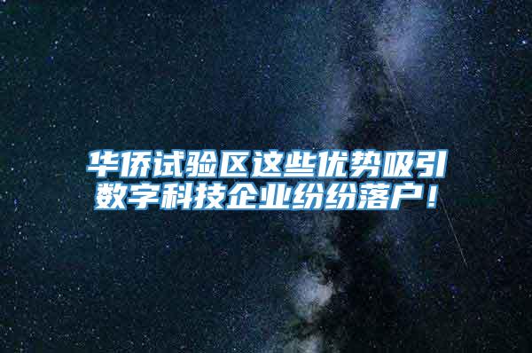 华侨试验区这些优势吸引数字科技企业纷纷落户！