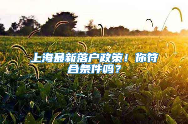 上海最新落户政策！你符合条件吗？