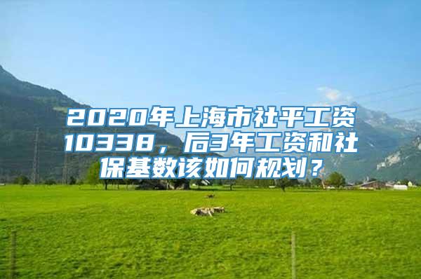 2020年上海市社平工资10338，后3年工资和社保基数该如何规划？