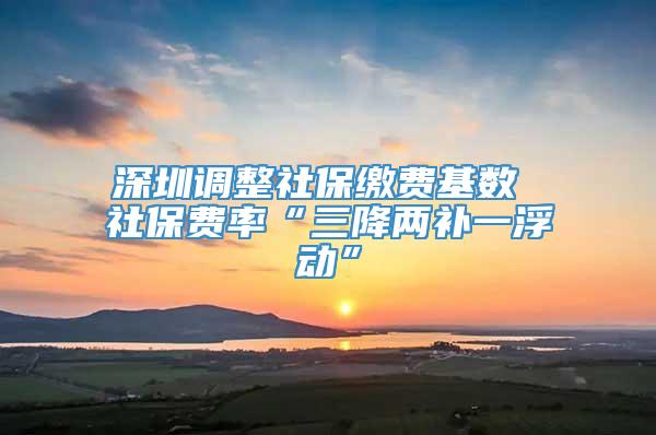 深圳调整社保缴费基数 社保费率“三降两补一浮动”