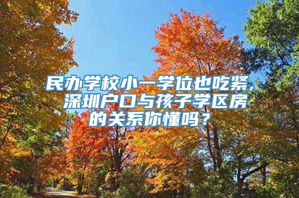 民办学校小一学位也吃紧, 深圳户口与孩子学区房的关系你懂吗？