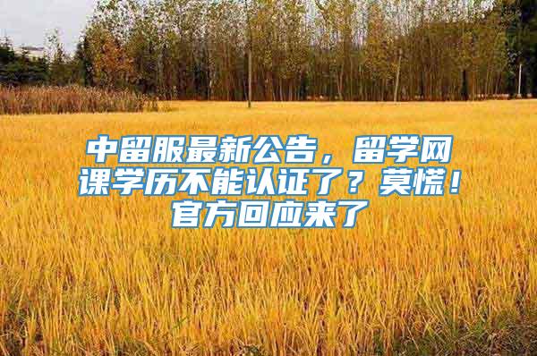 中留服最新公告，留学网课学历不能认证了？莫慌！官方回应来了