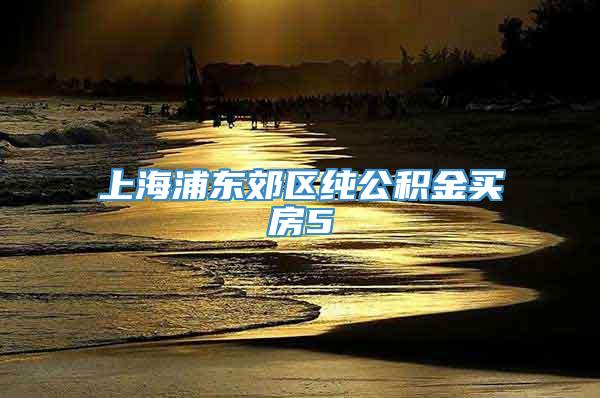 上海浦东郊区纯公积金买房5