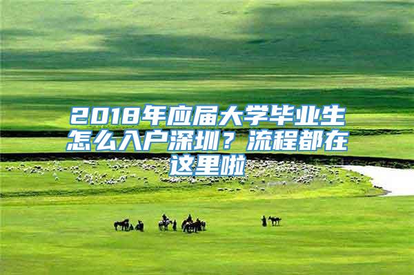 2018年应届大学毕业生怎么入户深圳？流程都在这里啦