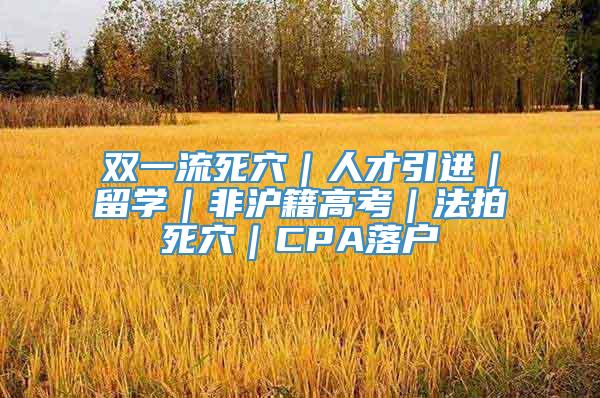 双一流死穴｜人才引进｜留学｜非沪籍高考｜法拍死穴｜CPA落户