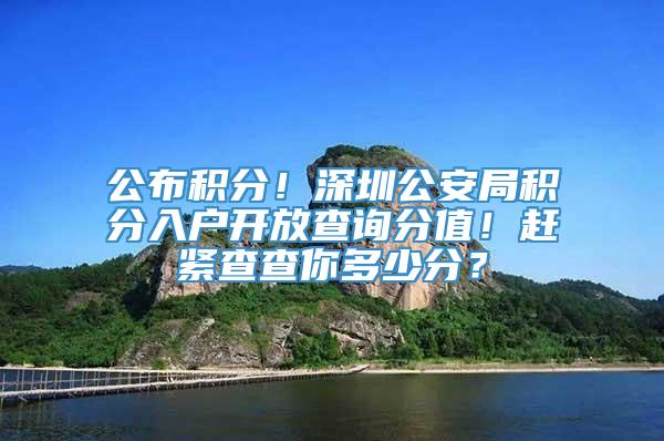 公布积分！深圳公安局积分入户开放查询分值！赶紧查查你多少分？