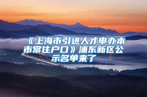 《上海市引进人才申办本市常住户口》浦东新区公示名单来了