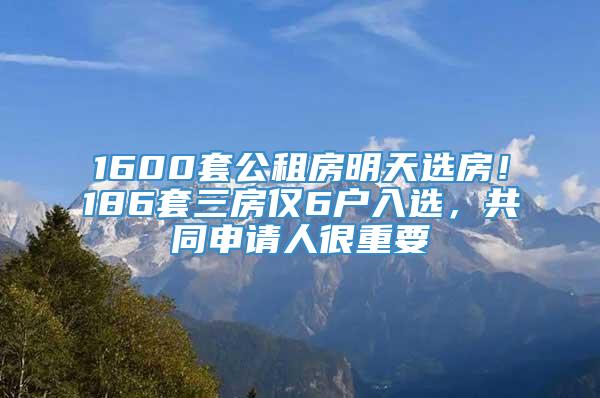 1600套公租房明天选房！186套三房仅6户入选，共同申请人很重要