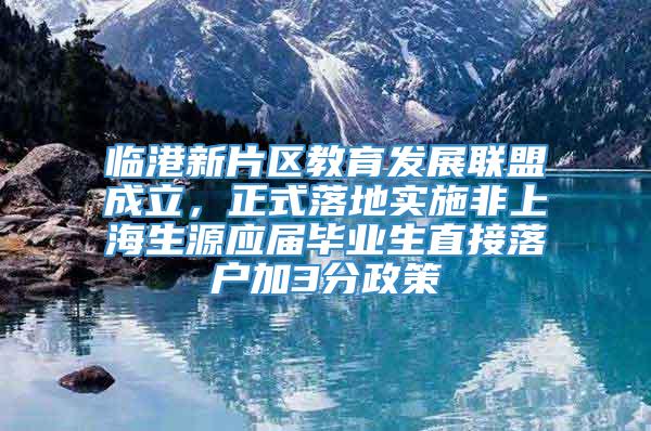 临港新片区教育发展联盟成立，正式落地实施非上海生源应届毕业生直接落户加3分政策