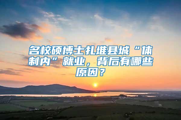 名校硕博士扎堆县城“体制内”就业，背后有哪些原因？