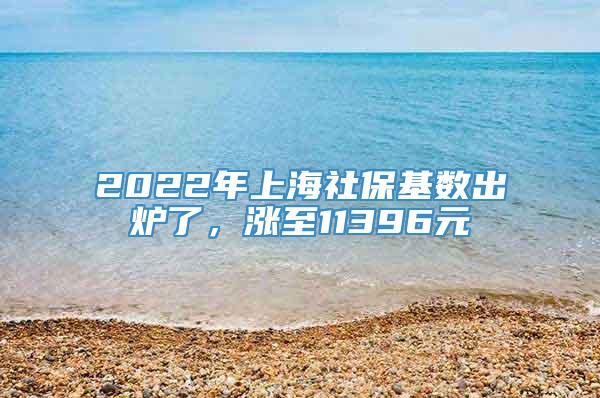 2022年上海社保基数出炉了，涨至11396元