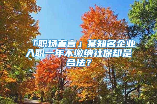 「职场直言」某知名企业入职一年不缴纳社保却是合法？