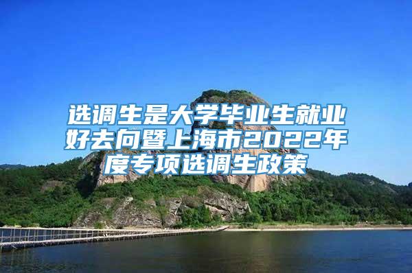 选调生是大学毕业生就业好去向暨上海市2022年度专项选调生政策