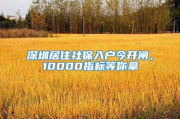 深圳居住社保入户今开闸，10000指标等你拿