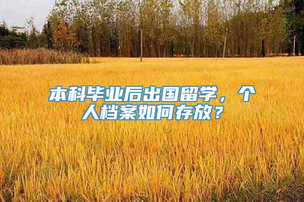 本科毕业后出国留学，个人档案如何存放？