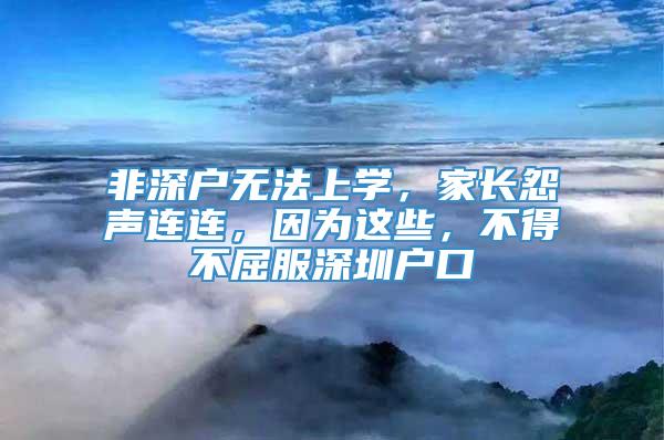 非深户无法上学，家长怨声连连，因为这些，不得不屈服深圳户口