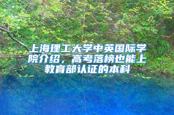 上海理工大学中英国际学院介绍，高考落榜也能上教育部认证的本科