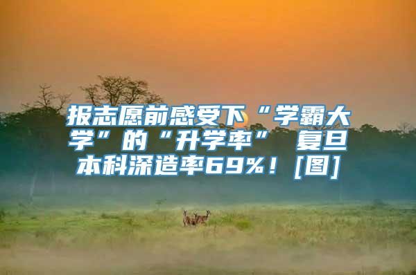 报志愿前感受下“学霸大学”的“升学率” 复旦本科深造率69%！[图]