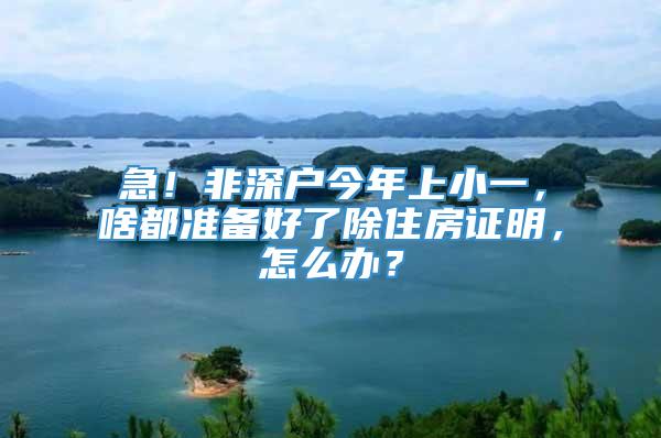 急！非深户今年上小一，啥都准备好了除住房证明，怎么办？