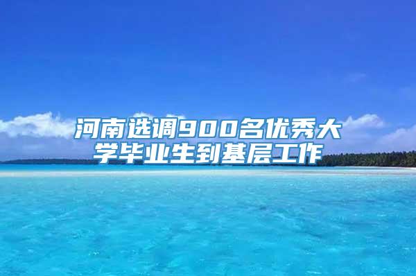 河南选调900名优秀大学毕业生到基层工作