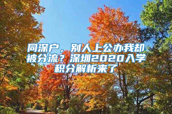 同深户，别人上公办我却被分流？深圳2020入学积分解析来了