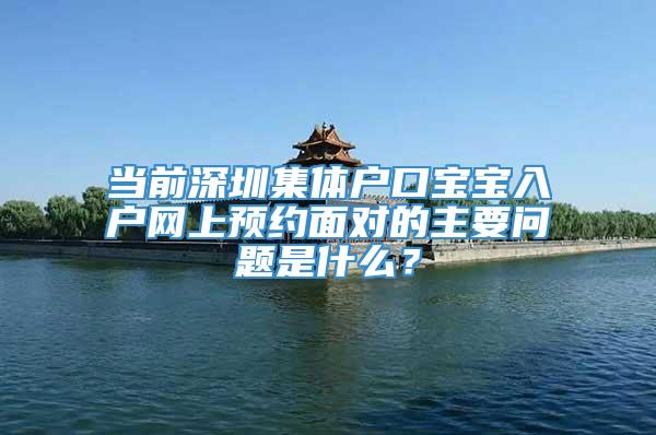 当前深圳集体户口宝宝入户网上预约面对的主要问题是什么？