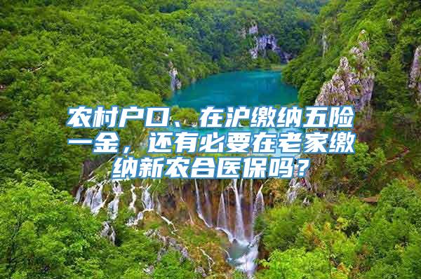 农村户口、在沪缴纳五险一金，还有必要在老家缴纳新农合医保吗？