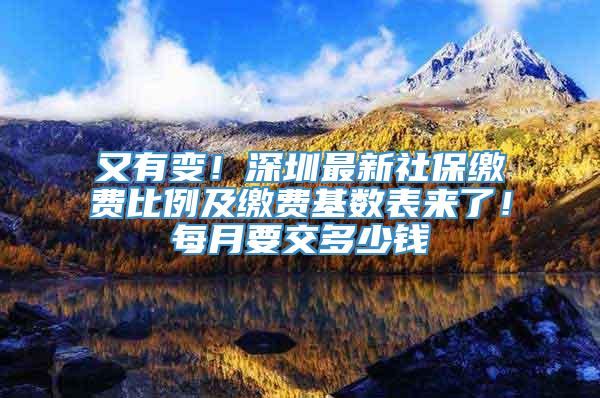 又有变！深圳最新社保缴费比例及缴费基数表来了！每月要交多少钱