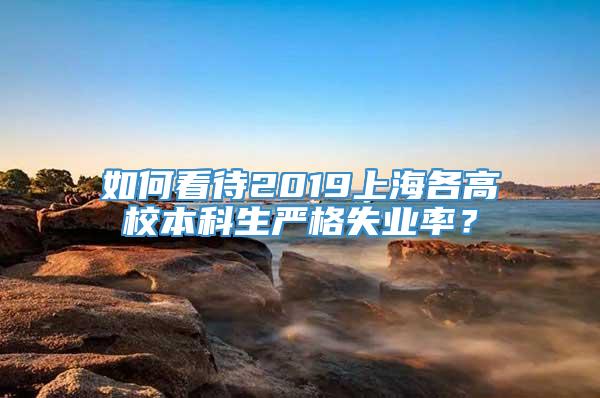 如何看待2019上海各高校本科生严格失业率？