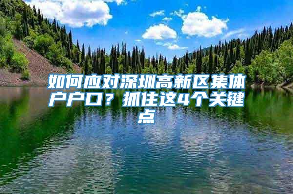 如何应对深圳高新区集体户户口？抓住这4个关键点