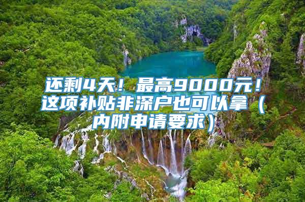 还剩4天！最高9000元！这项补贴非深户也可以拿（内附申请要求）