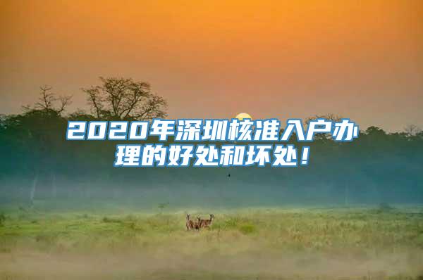 2020年深圳核准入户办理的好处和坏处！