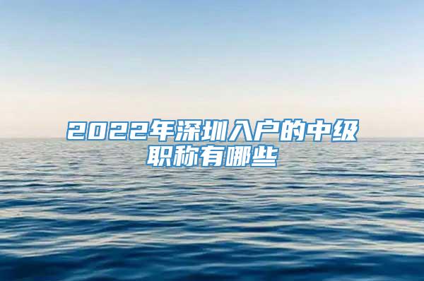 2022年深圳入户的中级职称有哪些