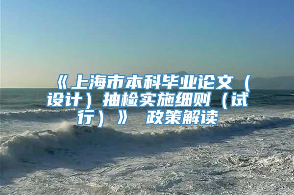 《上海市本科毕业论文（设计）抽检实施细则（试行）》 政策解读