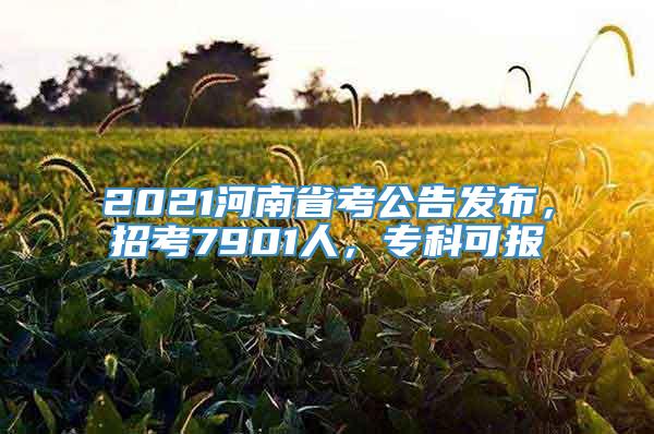 2021河南省考公告发布，招考7901人，专科可报