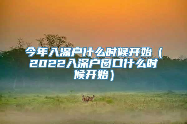 今年入深户什么时候开始（2022入深户窗口什么时候开始）