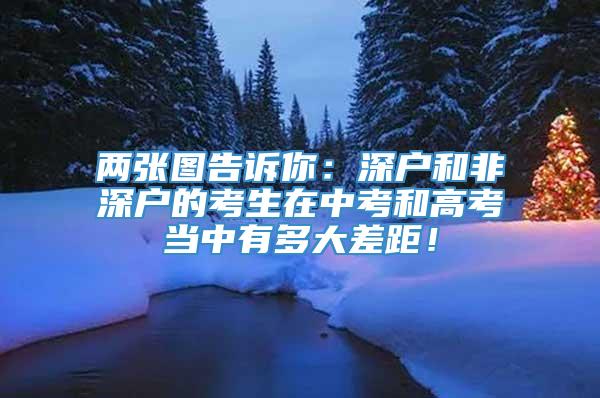 两张图告诉你：深户和非深户的考生在中考和高考当中有多大差距！