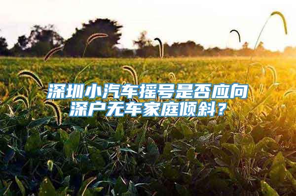 深圳小汽车摇号是否应向深户无车家庭倾斜？