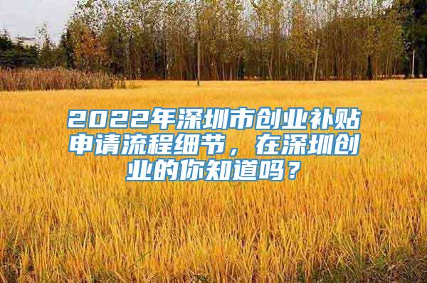 2022年深圳市创业补贴申请流程细节，在深圳创业的你知道吗？