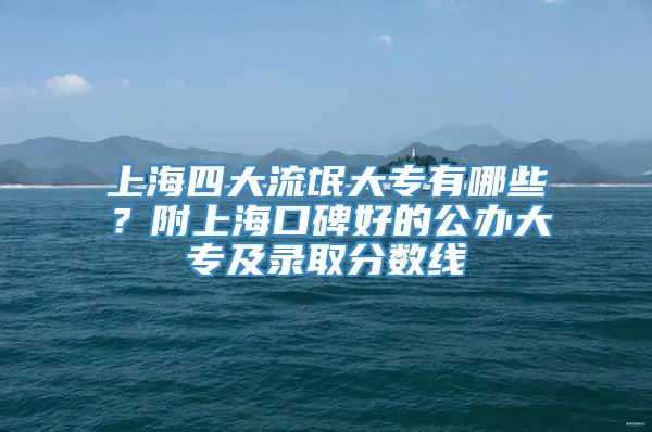 上海四大流氓大专有哪些？附上海口碑好的公办大专及录取分数线