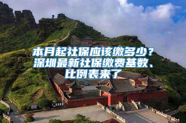 本月起社保应该缴多少？深圳最新社保缴费基数、比例表来了