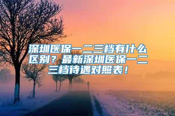 深圳医保一二三档有什么区别？最新深圳医保一二三档待遇对照表！