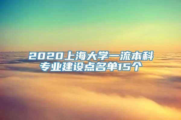 2020上海大学一流本科专业建设点名单15个