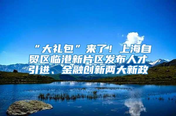 “大礼包”来了！上海自贸区临港新片区发布人才引进、金融创新两大新政