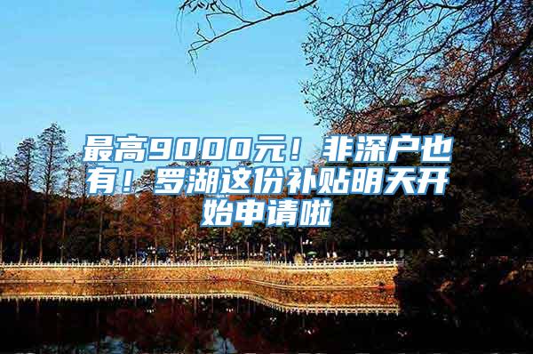 最高9000元！非深户也有！罗湖这份补贴明天开始申请啦