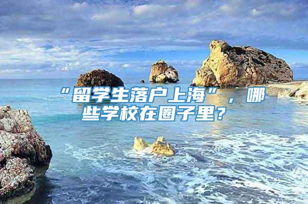 “留学生落户上海”，哪些学校在圈子里？